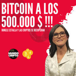 Cathie Wood Bitcoin a los 500.000