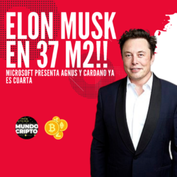 ELON MUSK EN 37 M2