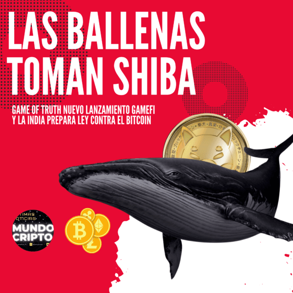 Las ballenas toman shiba inu