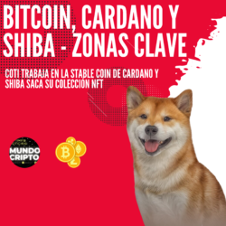 bitcoin cardano shiba inu